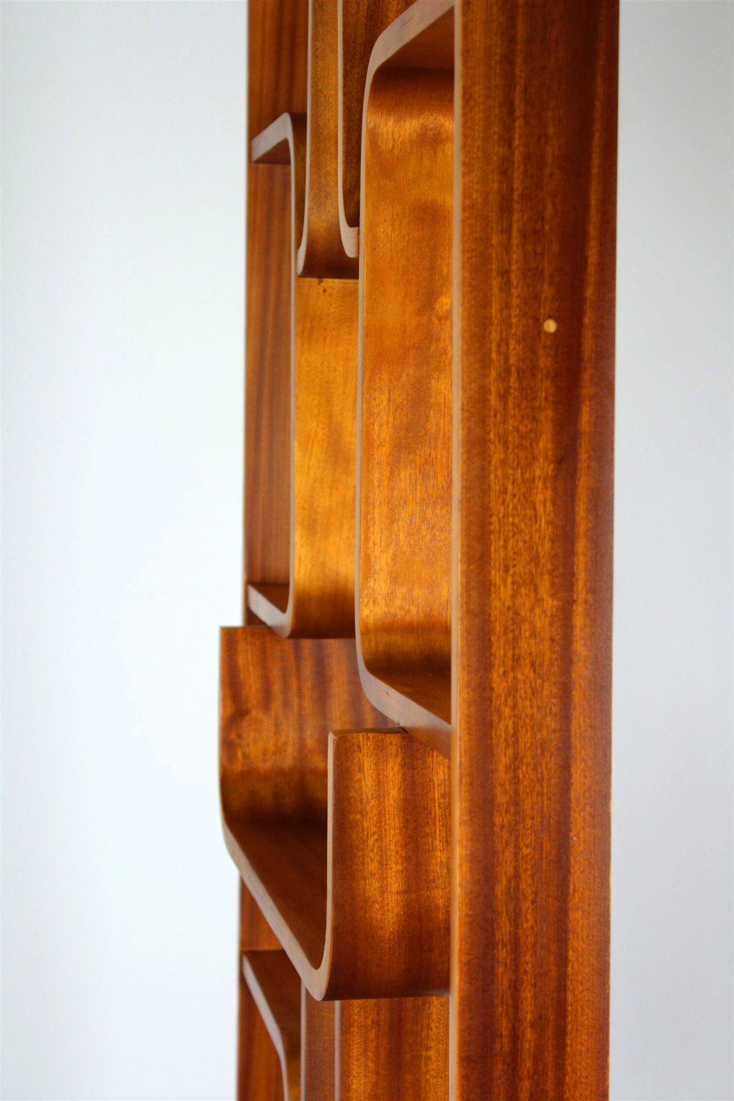 Restored Mid-Century Room Divider by L. Volak for Drevopodnik Holesov, 1960s