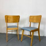Chaises de salle à manger en hêtre modernistes du milieu du siècle, années 1950, lot de 2