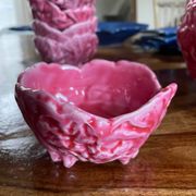 Set of pink cabbage bowls 🥬