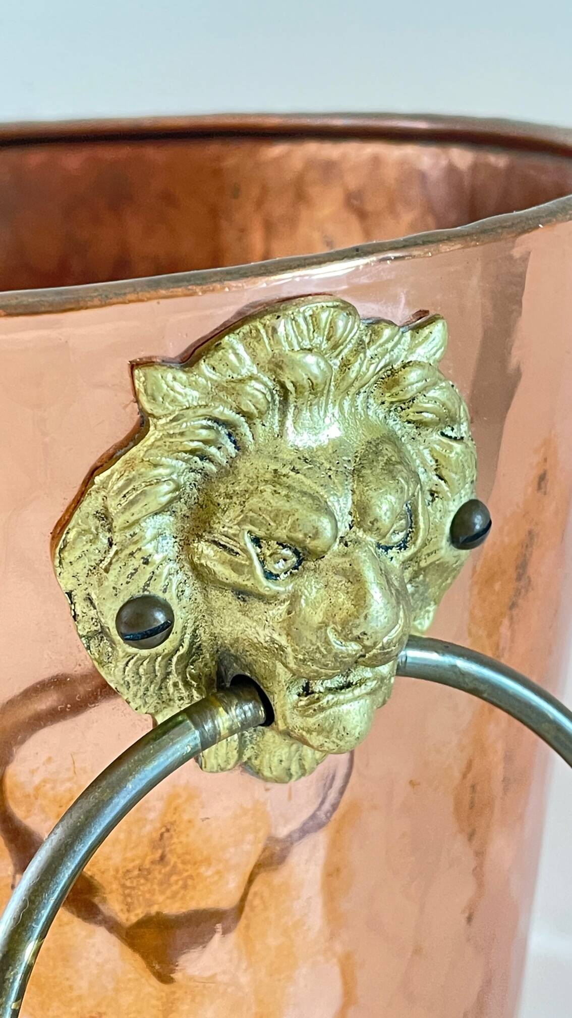 Vintage copper lion's head umbrella holder