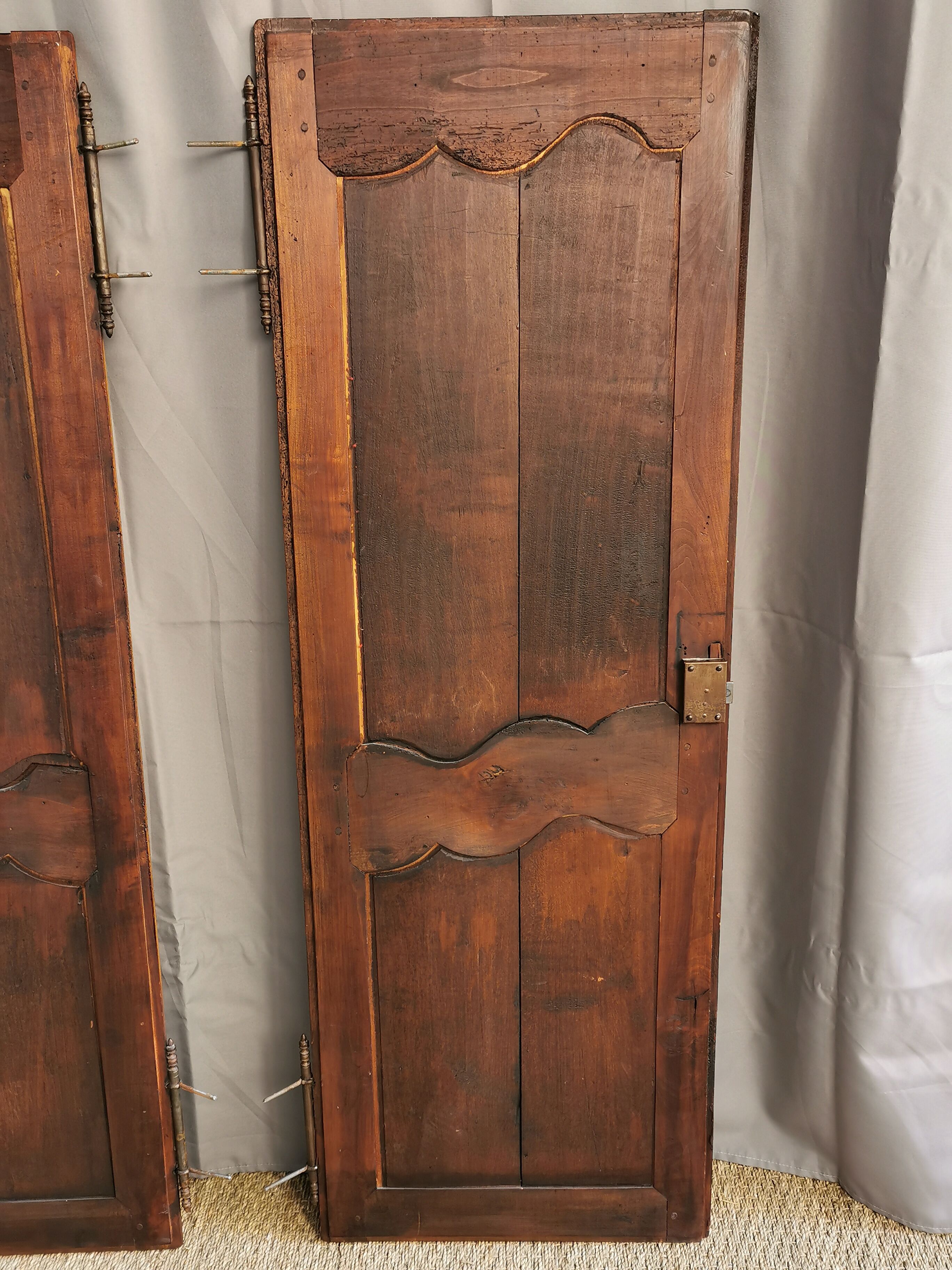 Paire de portes d'armoire ancienne XlXème