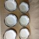 6 hollow plates old Limoges porcelain