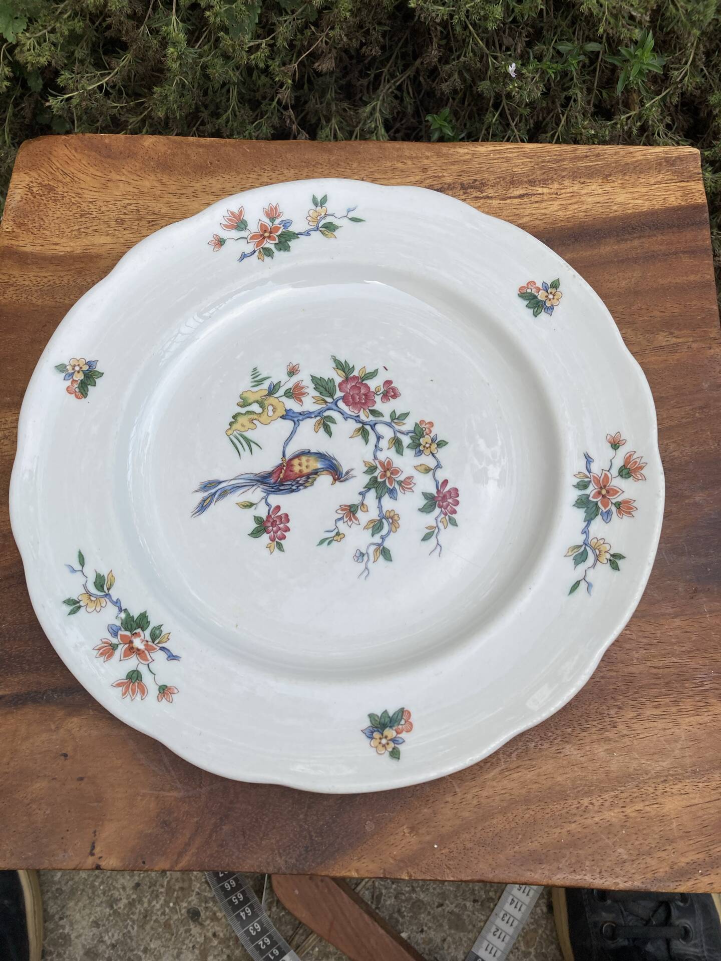 Flat plates with scalloped edges Sarreguemines bohemian chic