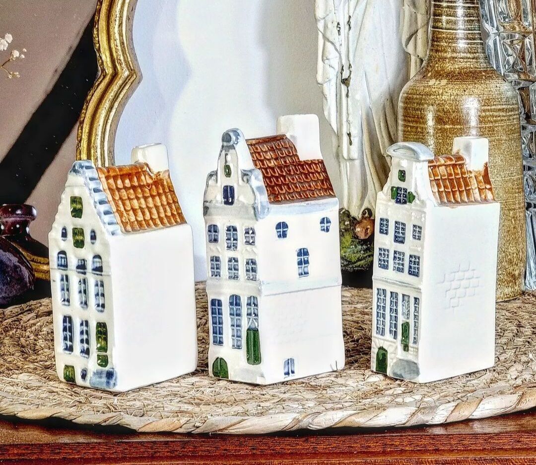 Maisons soliflores Amsterdam
