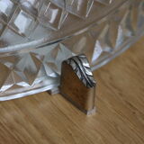 Ceiling Hedgehog 30 years