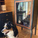Bar Furniture