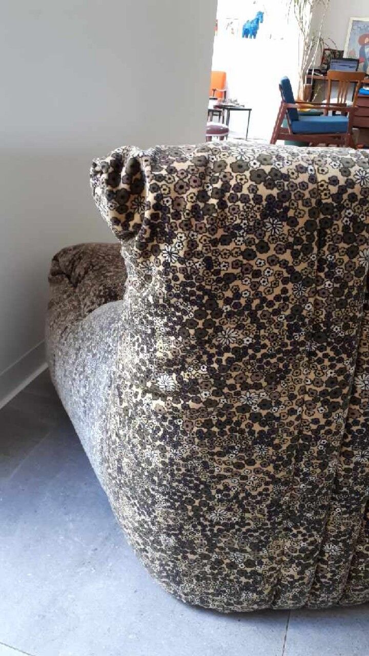 Sofa "Aralia" Ligne Roset 70/80