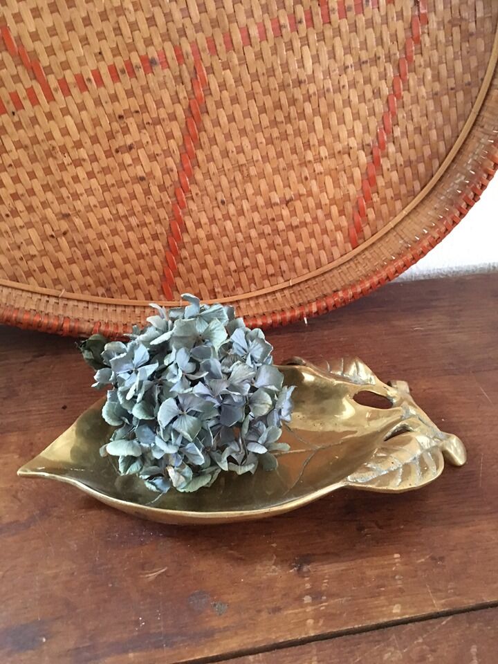 Large empty brass fruit pocket