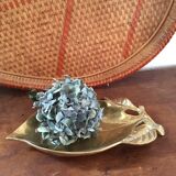 Large empty brass fruit pocket