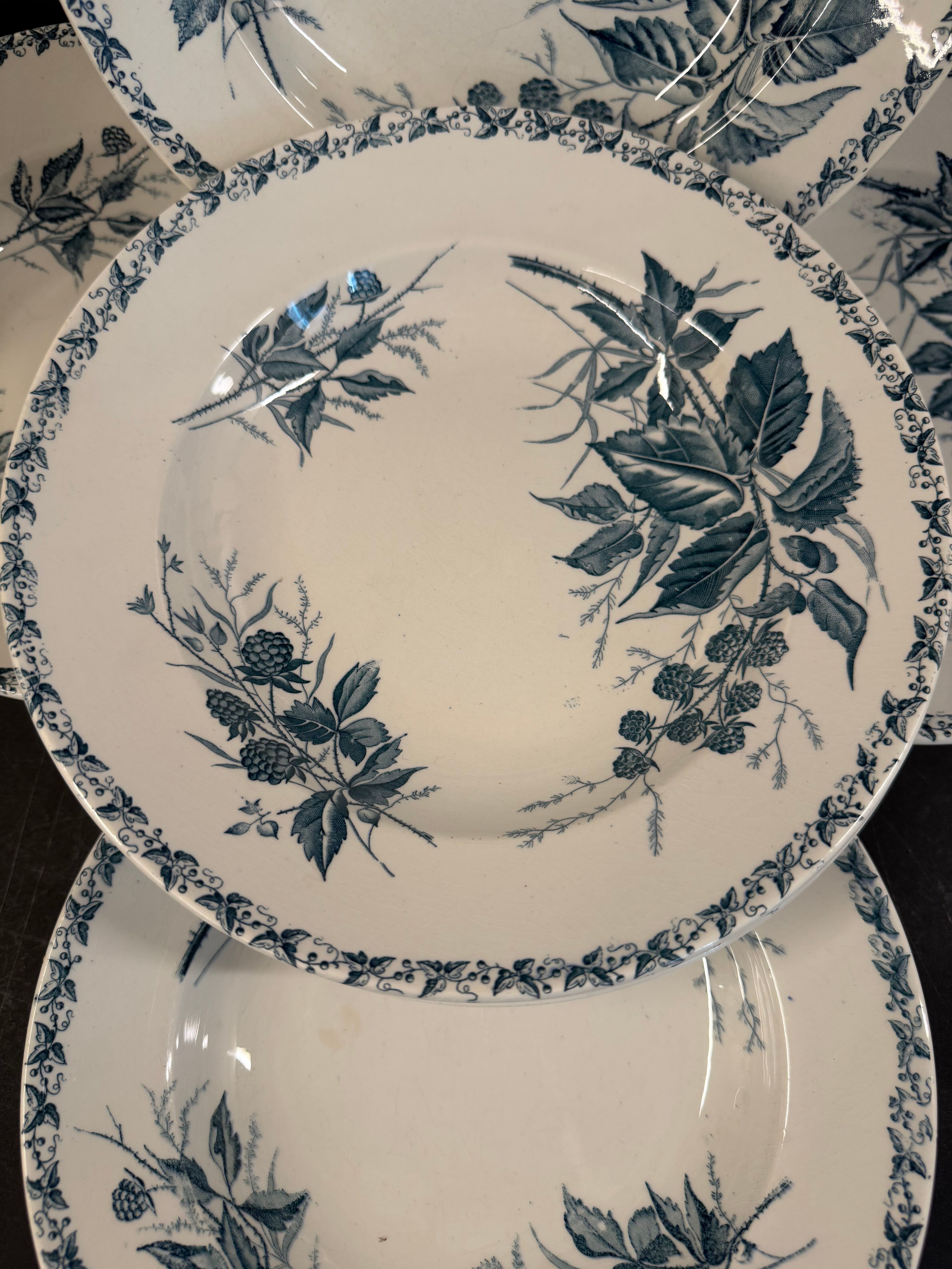 6 deep plates in ironstone "Mûre" Badonviller