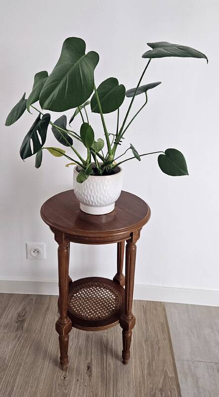 Antique marquetry side table in wood and cane.