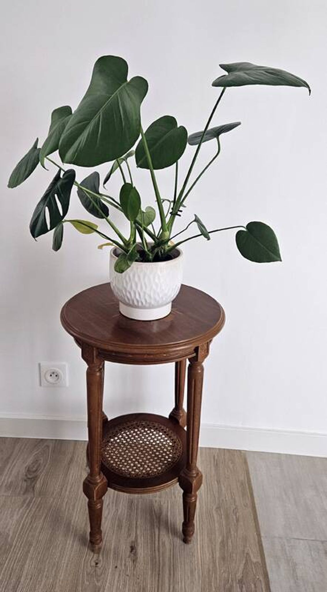Antique marquetry side table in wood and cane.