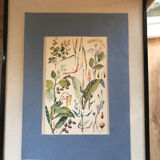 Planche III vintage originale fleurs