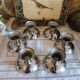 Coupelle en inox 18/10 Guy Degrenne vintage