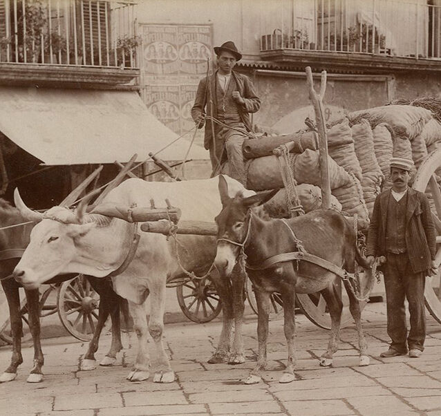 Print Alinari albumen Naples Italy Italy Italy circa 1880