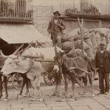 Print Alinari albumen Naples Italy Italy Italy circa 1880