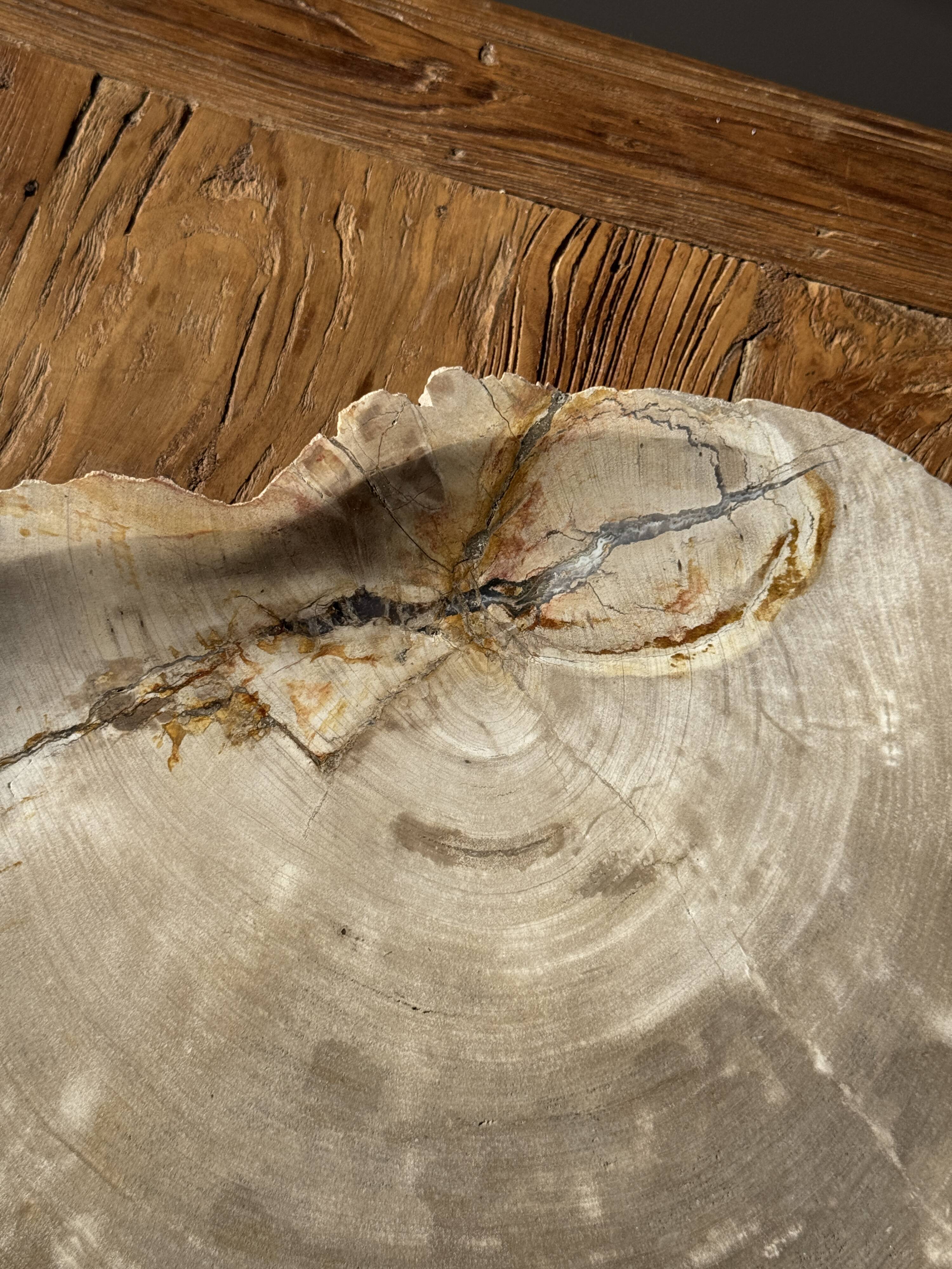 Very large pocket tray or dish in beige petrified wood D35