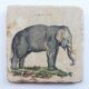 Marble coasters, elephant décor