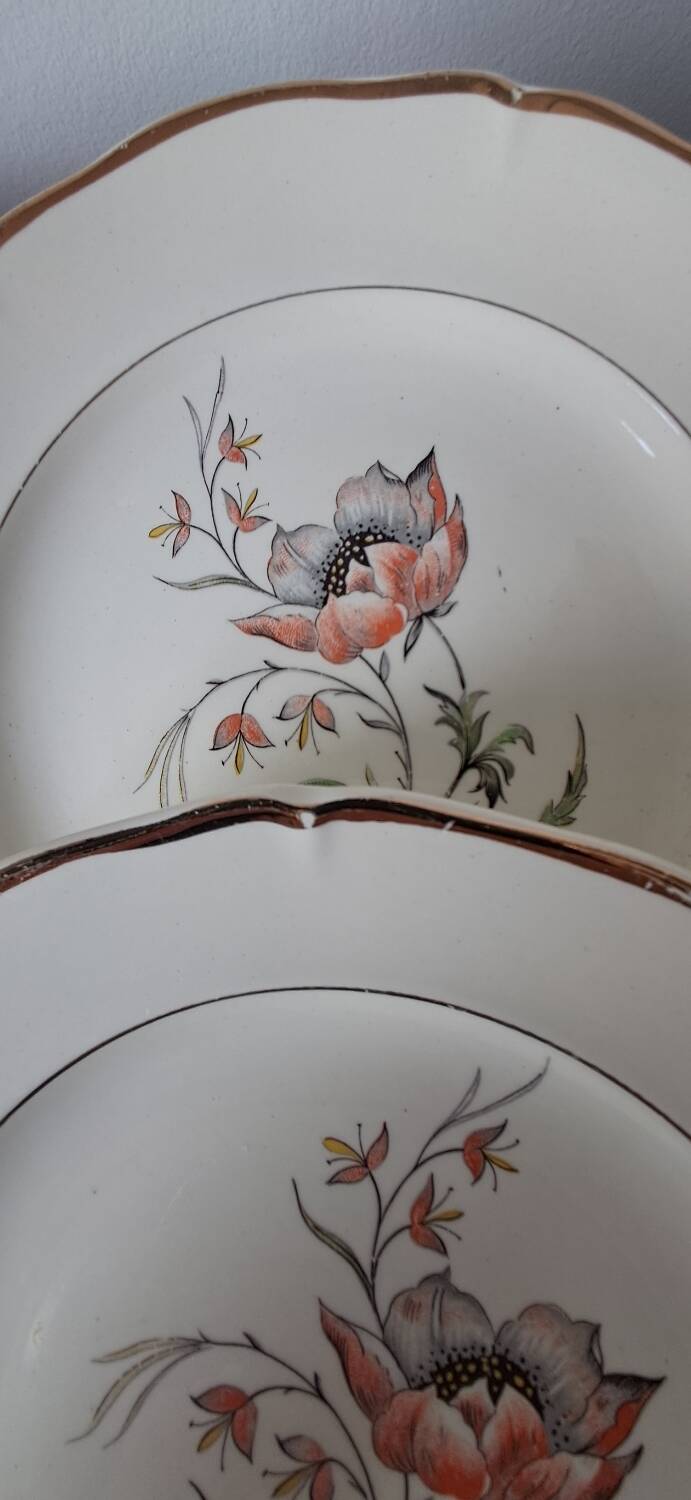 Assiettes à dessert modèle Saverne de St Amand. Années 50-60