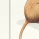 Chimère lithographie gravure animal - le maricoq