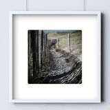 Limited edition art photo. Numbered, dated and signed by the photographer