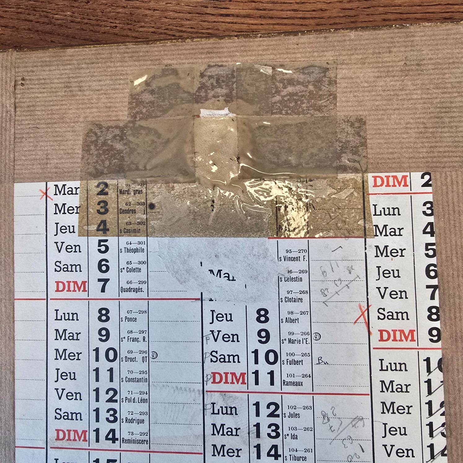 Antique botanical frame – “Carnation Variety” – Gilded wood