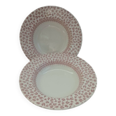 2 assiettes creuses anciennes