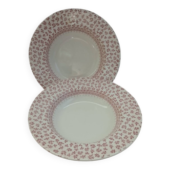 2 old soup plates