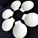 6 Pillivuyt white porcelain shell bowls