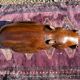 Banc hippopotame 1950