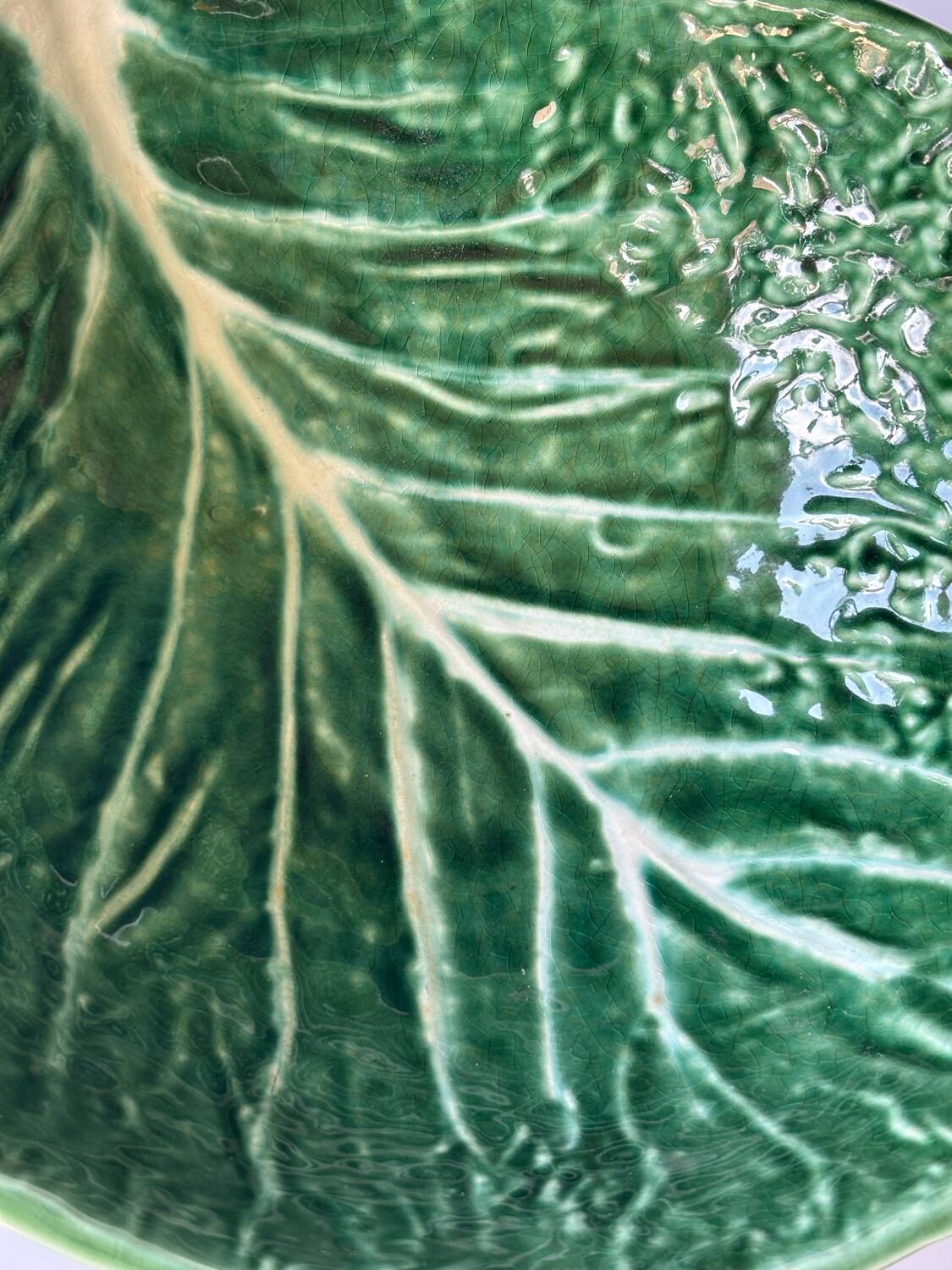 Cabbage leaf salad bowl with slip