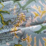 Vintage map of the Alps