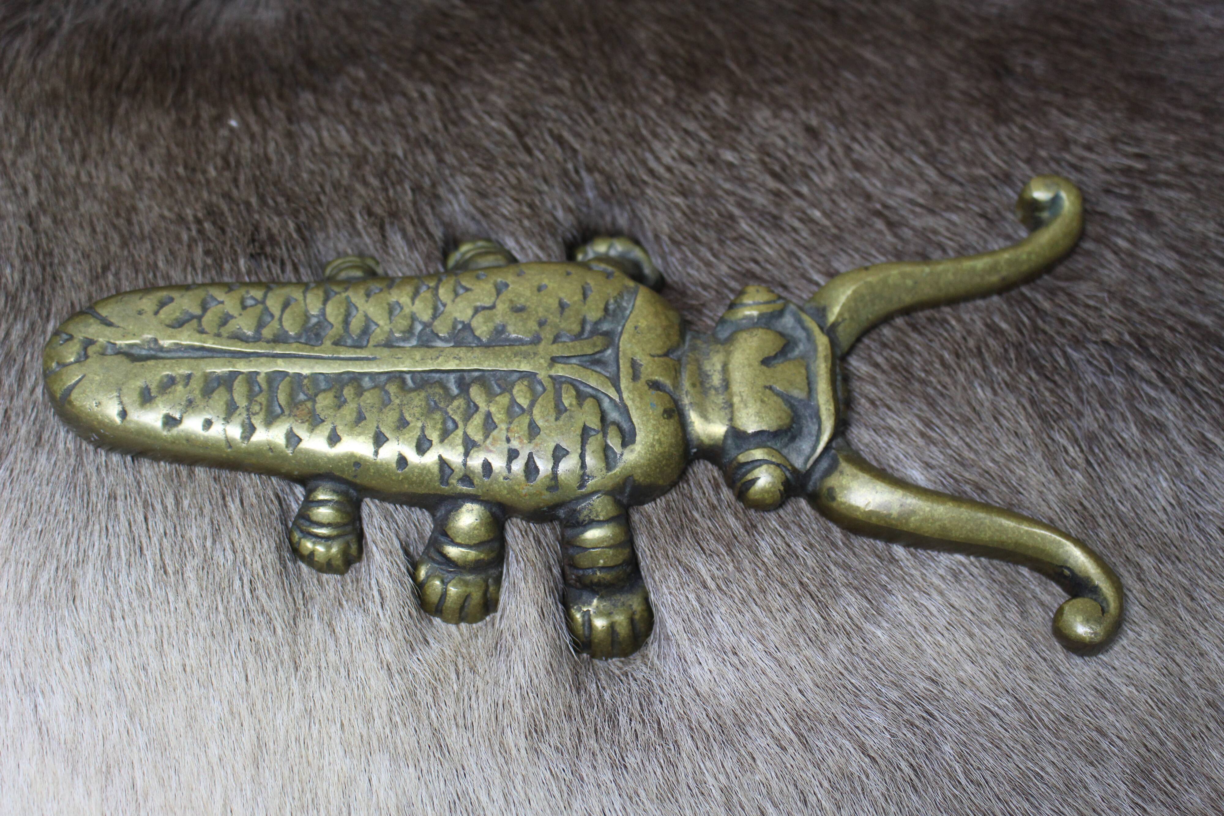 Golden cast iron beetle