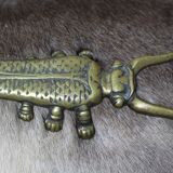 Golden cast iron beetle