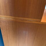 Library vintage teak showcase 1960