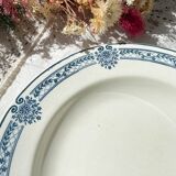 5 Deep plates in blue ironstone Salins, Arbois Ennege model