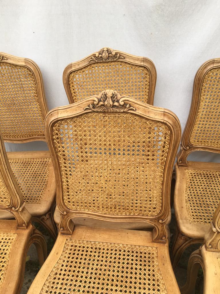 Series of 6 Chairs louis xv acanthus leaves and shell decapitated