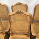 Series of 6 Chairs louis xv acanthus leaves and shell decapitated