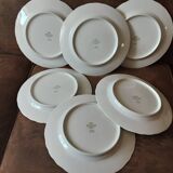Set of 6 Italian Tognana dinner plates