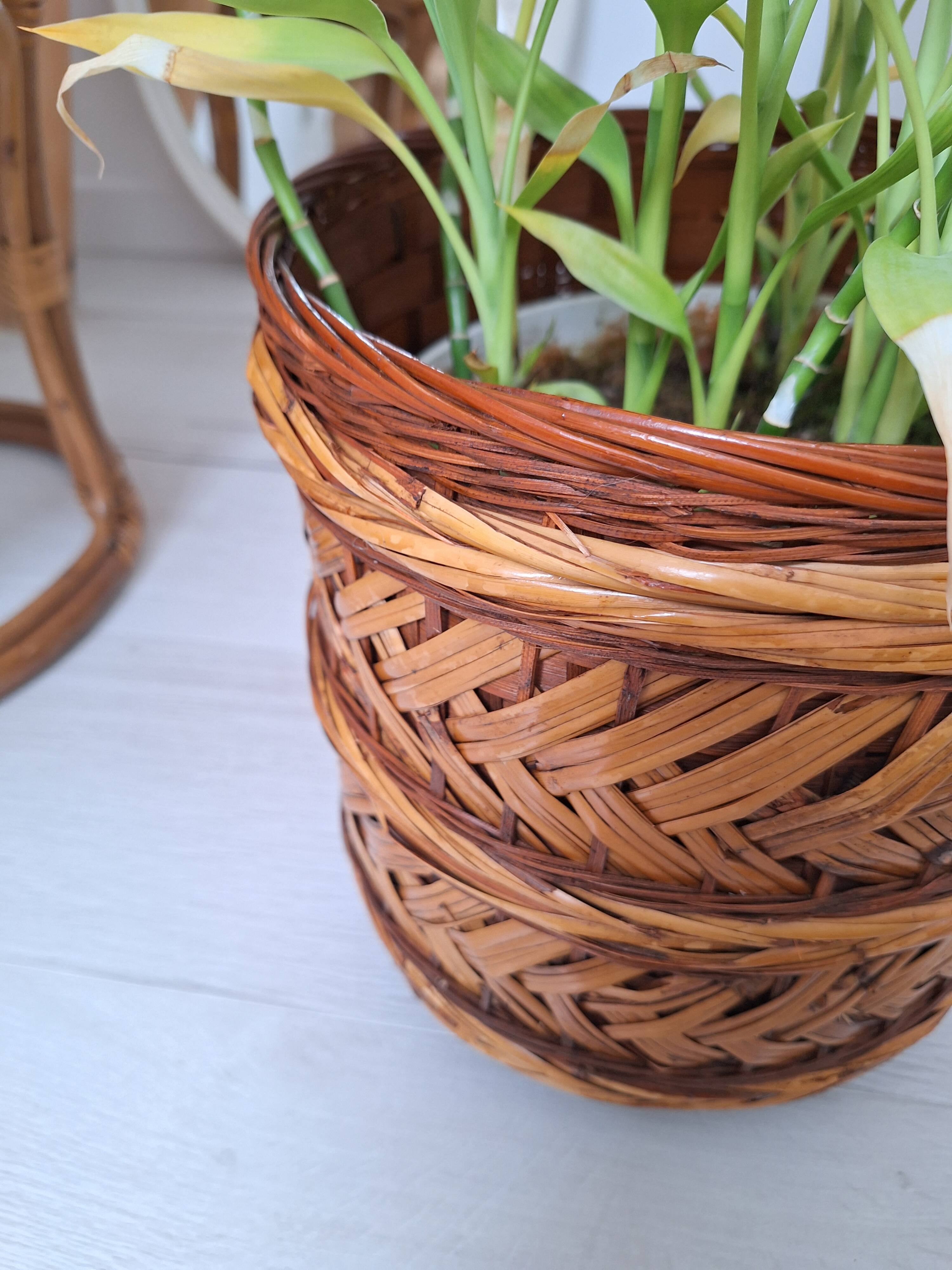 Wicker plant pot