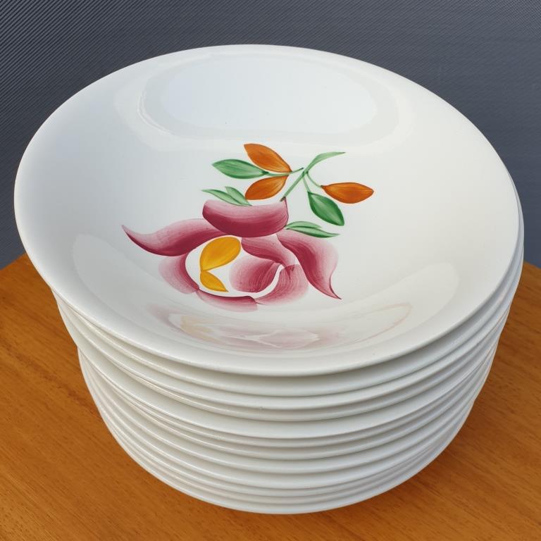 Lot 12 hollow plates Gien model Princess 1960