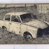The trabant