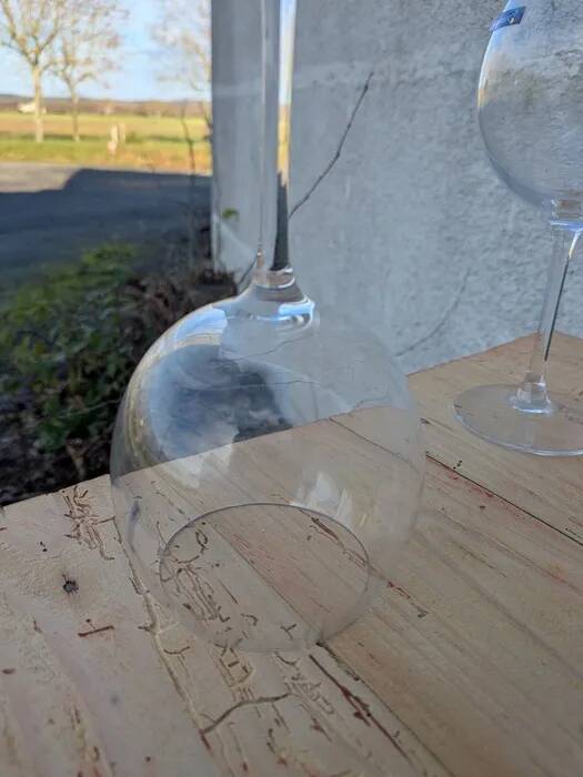 Large balloon glasses