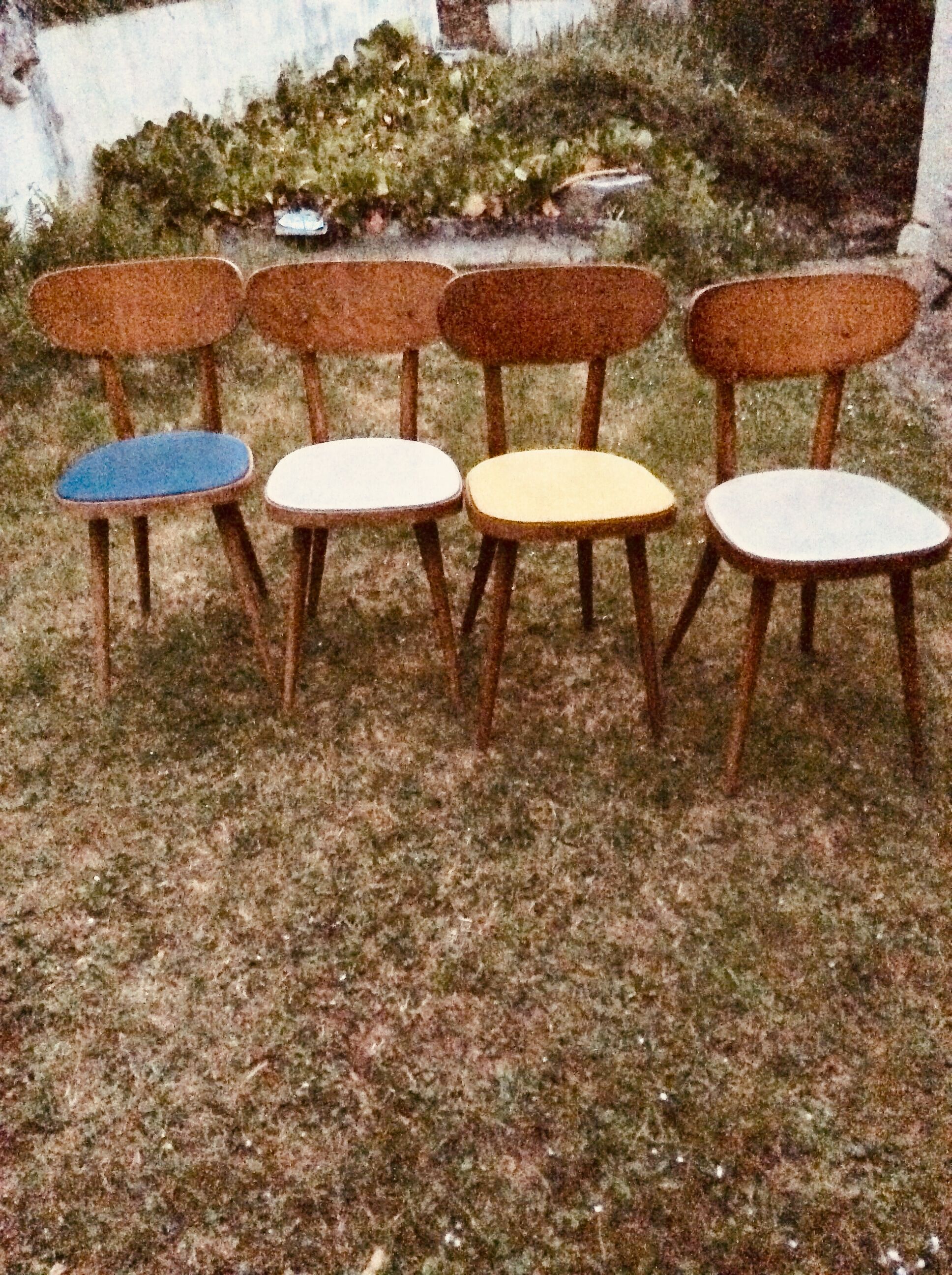 Baumann chairs