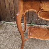 Charming small hairdresser 1900