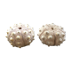 Lot 2 decorative sea urchins