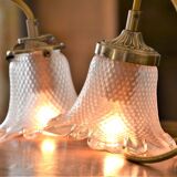 Duo of walkers in glass flowers and yellow cord