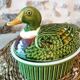 Caugant Green Duck Terrine Barbotine