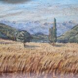 Wheat fields