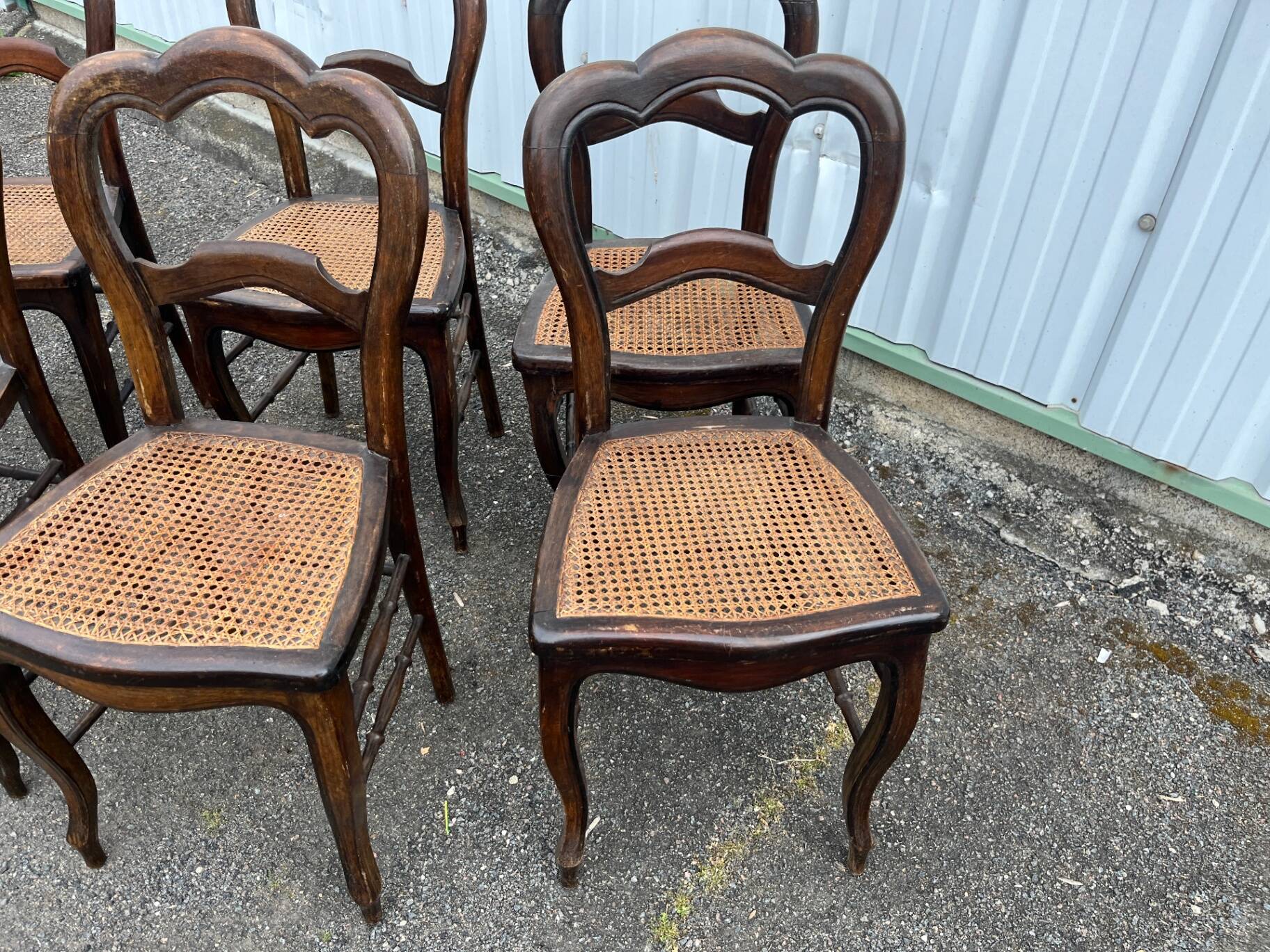 Série de 6 chaises à dossier trilobé de style Louis-Philippe
